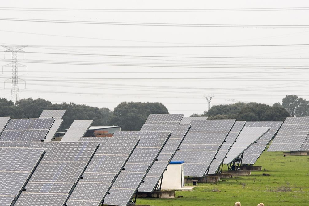 Arazi Tipi Güneş Enerjisi Sistemleri